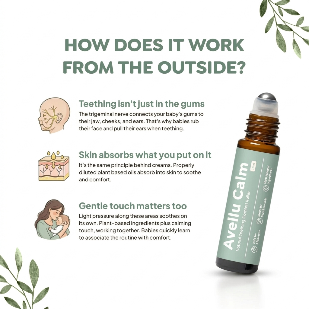 Avellu Calm — Natural Teething Relief Roller for Babies